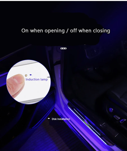 🔥TikTok Hot Sale🔥LED Door Sill Pro